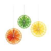 Citrus Fruit Paper Fans 3 Pack