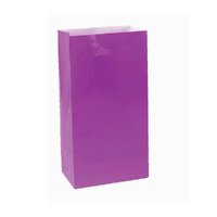 New Purple Large Paper Treat Bags 12 Pack