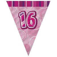 Glitz Pink Flag Banner - 16