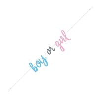 Baby Reveal "Boy Or Girl" Jointed Banner 2.13m