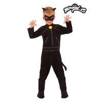 Cat Noir Miraculous Ladybug Costume