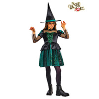 Child Wicked Witch  Wizard Of Oz Costume