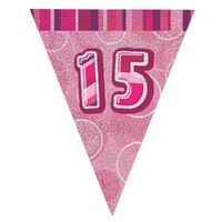 Glitz Pink Flag Banner - 15