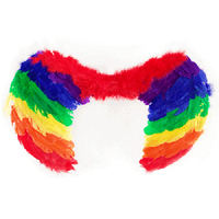 Carnival Angel Wing 80x60cm