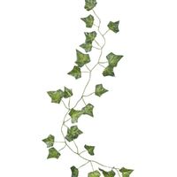 Beautiful Botanics Decorative Vines 5 Pack