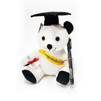 Graduation Autograph 20cm Signature Bear Seated with Sash Pen Hat Scroll