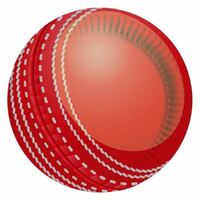 Cricket Plates 23cm 8 Pack