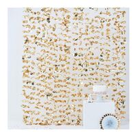 Pick & Mix Backdrop Photobooth Gold
