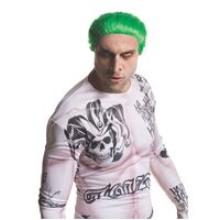 The Joker Wig Adult