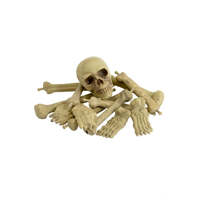 Bag of Bones in Net Bag