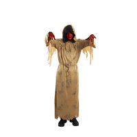 Scarecrow Costume Kit