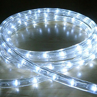 Led Ropelight Flash White 9m