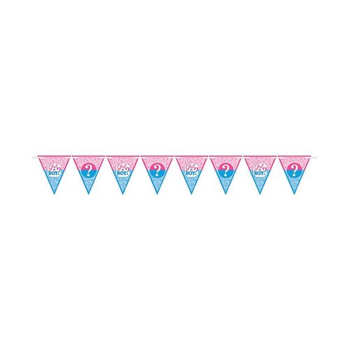 Girl or Boy? Pennant Banner - Paper Gender Reveal