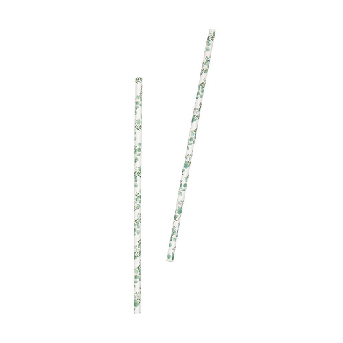 Botanical Paper Straws 10 Pack