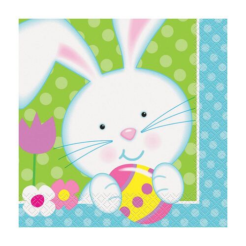 Spring Easter Bunny Luncheon Napkins 2ply 16 Pack