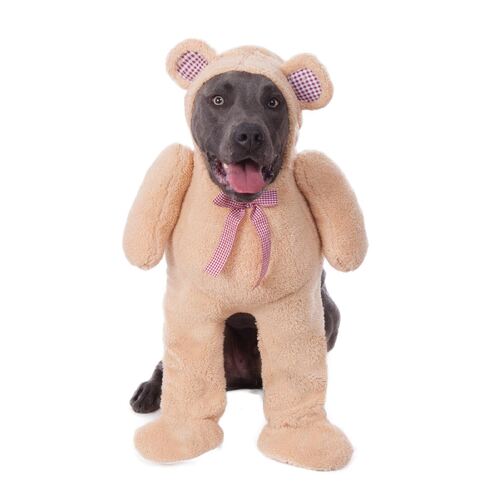 Walking Teddy Bear Big Dogs Pet Costume