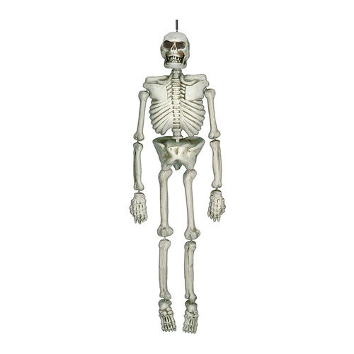 Life Size Hanging Skeleton Decoration Plastic