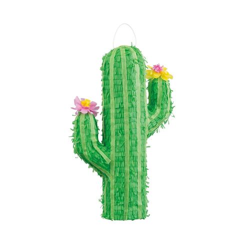 Pinata Cactus 3d