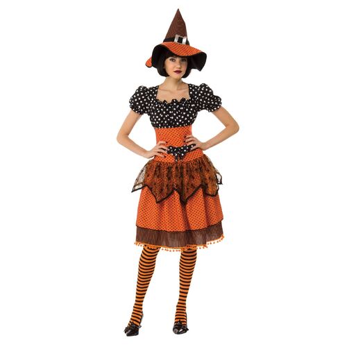 Polka Dot Witch Costume Adult