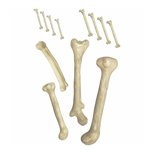 Bag Of Bones