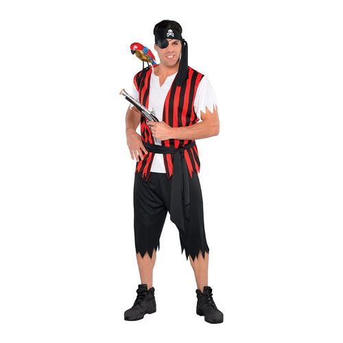 Costume Ahoy Matey Pirate Plus Size