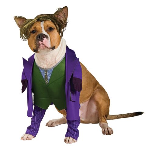 The Joker Pet Costume   