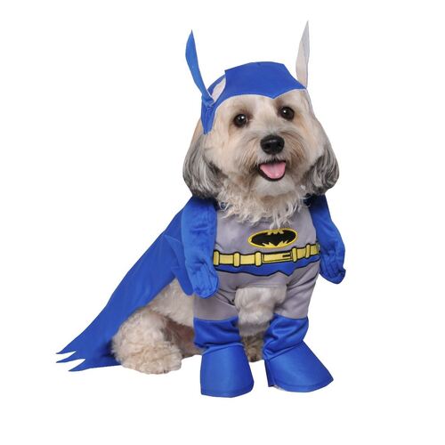 Batman Brave And Bold Pet Costume