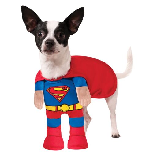 Superman Pet Costume  