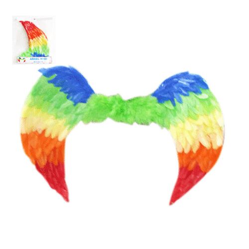 Angel Wing Adult Rainbow 80cm x 60cm