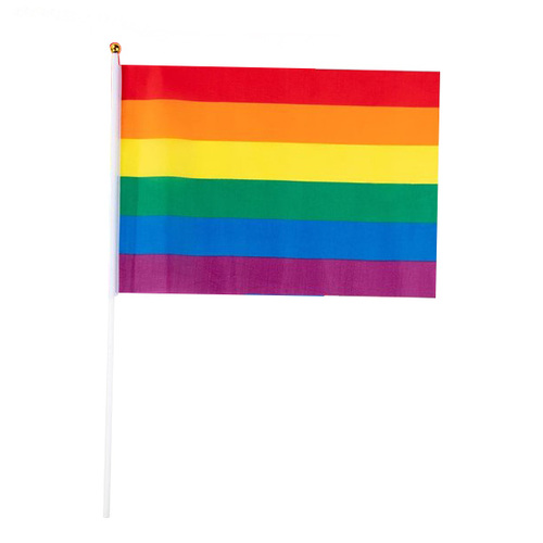 Rainbow Flag 30cmx45cm 