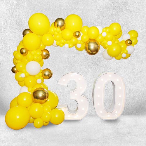 Balloon Decoration 1