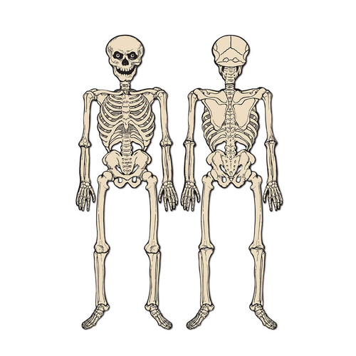 Beistle Vintage Halloween Jointed Skeleton