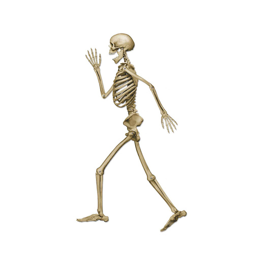 Beistle Profile Pete Jointed Skeleton