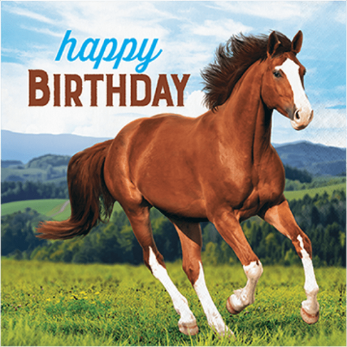 Horse and Pony Lunch Napkins Happy Birthday 16 Pack