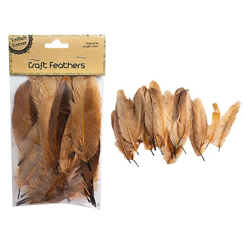 Craft 14cm Brown Feathers Pk50