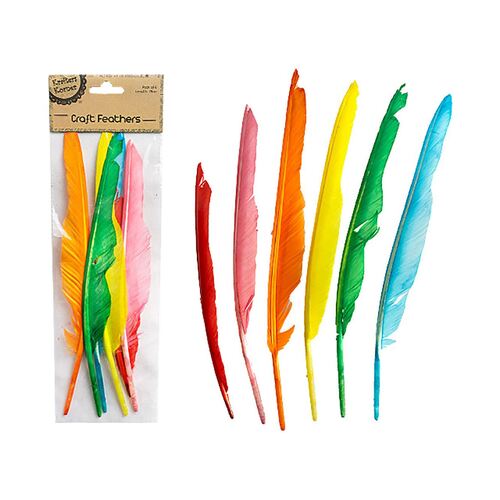 Craft 28cm Mix Coloured Feathers Pk6