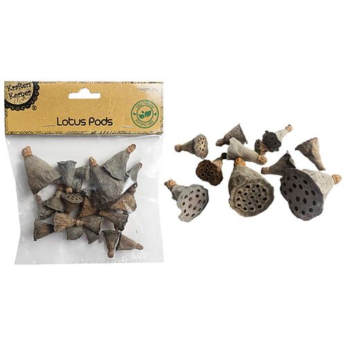 Lotus Pods