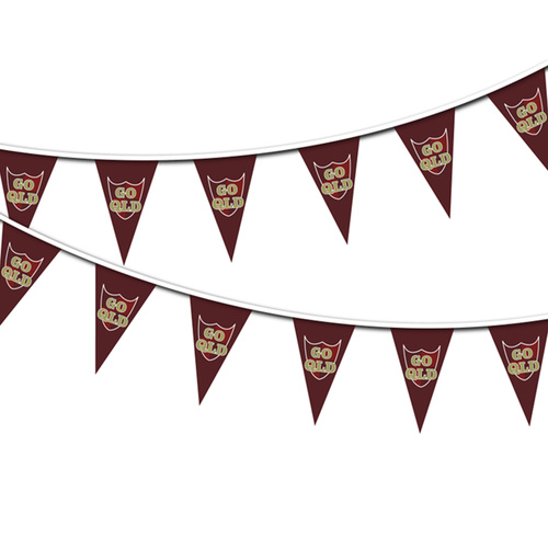 12pc QLD Triangle Flag Buntings