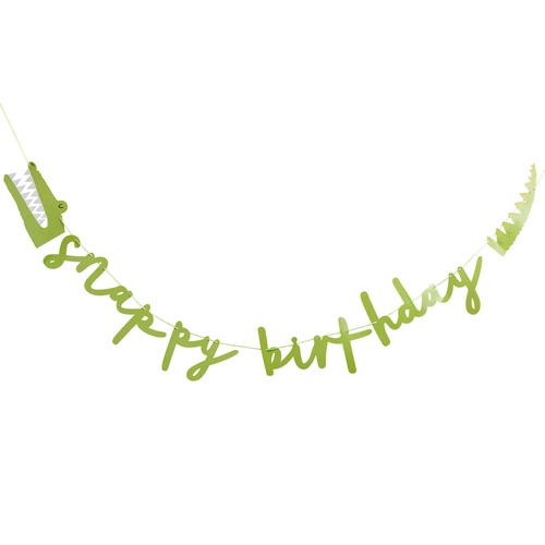 Snappy Birthday Green Card Banner 2m