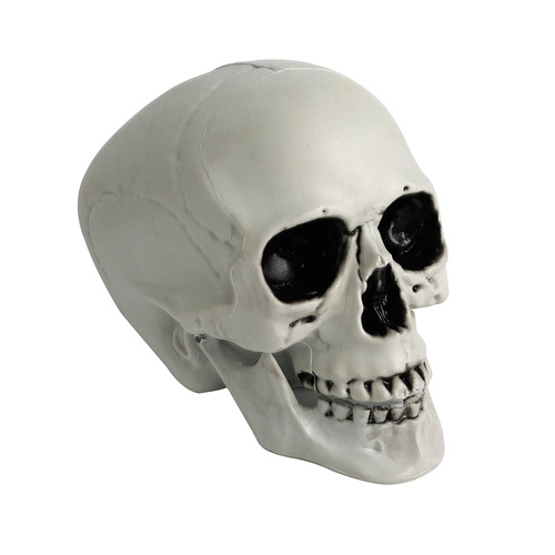 Skeleton Skull 20x15cm