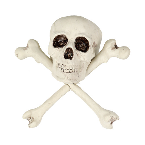 Skull Cross Bone 30x27x15cm