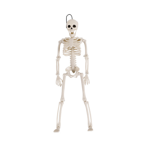 Skeleton 40cm