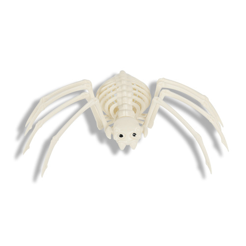 Skeleton Spider 30cm
