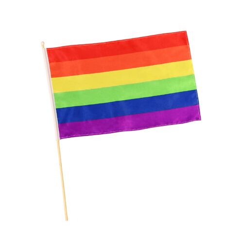 Rainbow Flag  Adult