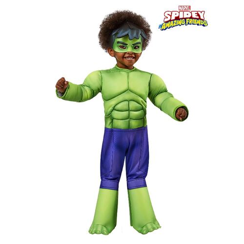 Hulk Deluxe 'Spidey & His Amazing Frends' Costume Child