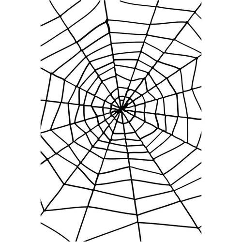 Spider & Spiders Web