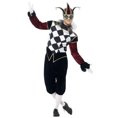 Mens Gothic Venetian Harlequin Costume