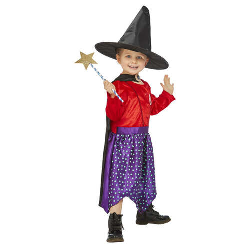 Julia Donaldson Room On The Broom Costume