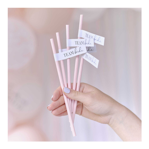 Future Mrs Team Bride Hen Party Paper Straws 16 Pack
