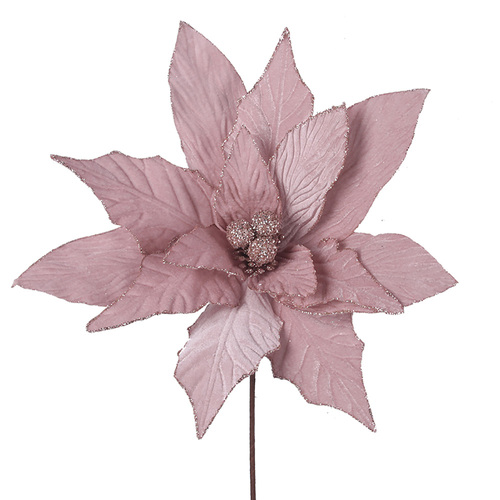 Pale Pink Velour Poinsettia 